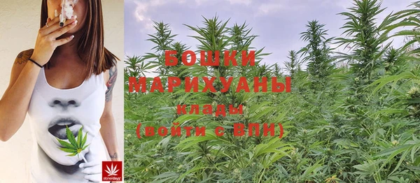 mix Надым
