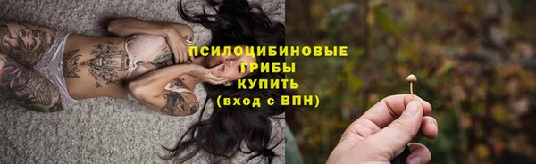 mix Надым