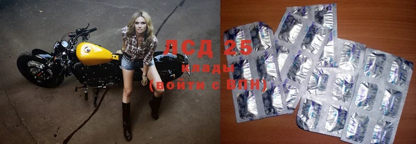прущие грибы Навашино